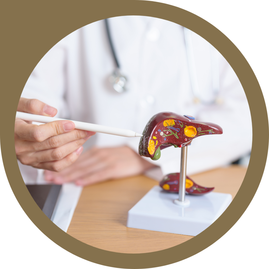 Gastroenterologia, gastroenterologista, hepatologia, hepatologista, endoscopia, endoscopista, colonoscopia, doenças do fígado, fígado